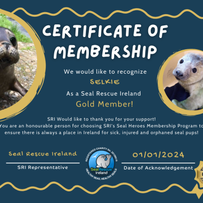2024 Sample Certificate of Membership (1)