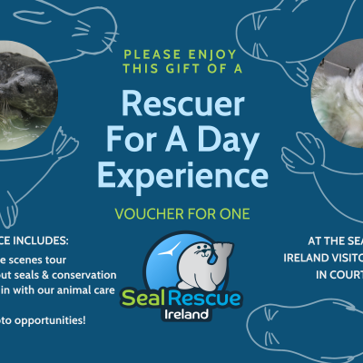 Copy of RFAD Gift voucher 2021