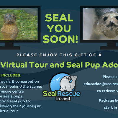 Virtual Tour and Seal Pup Adoption Gift voucher 2026 (1)