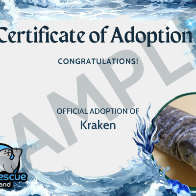 Season Q Adoption Certificates