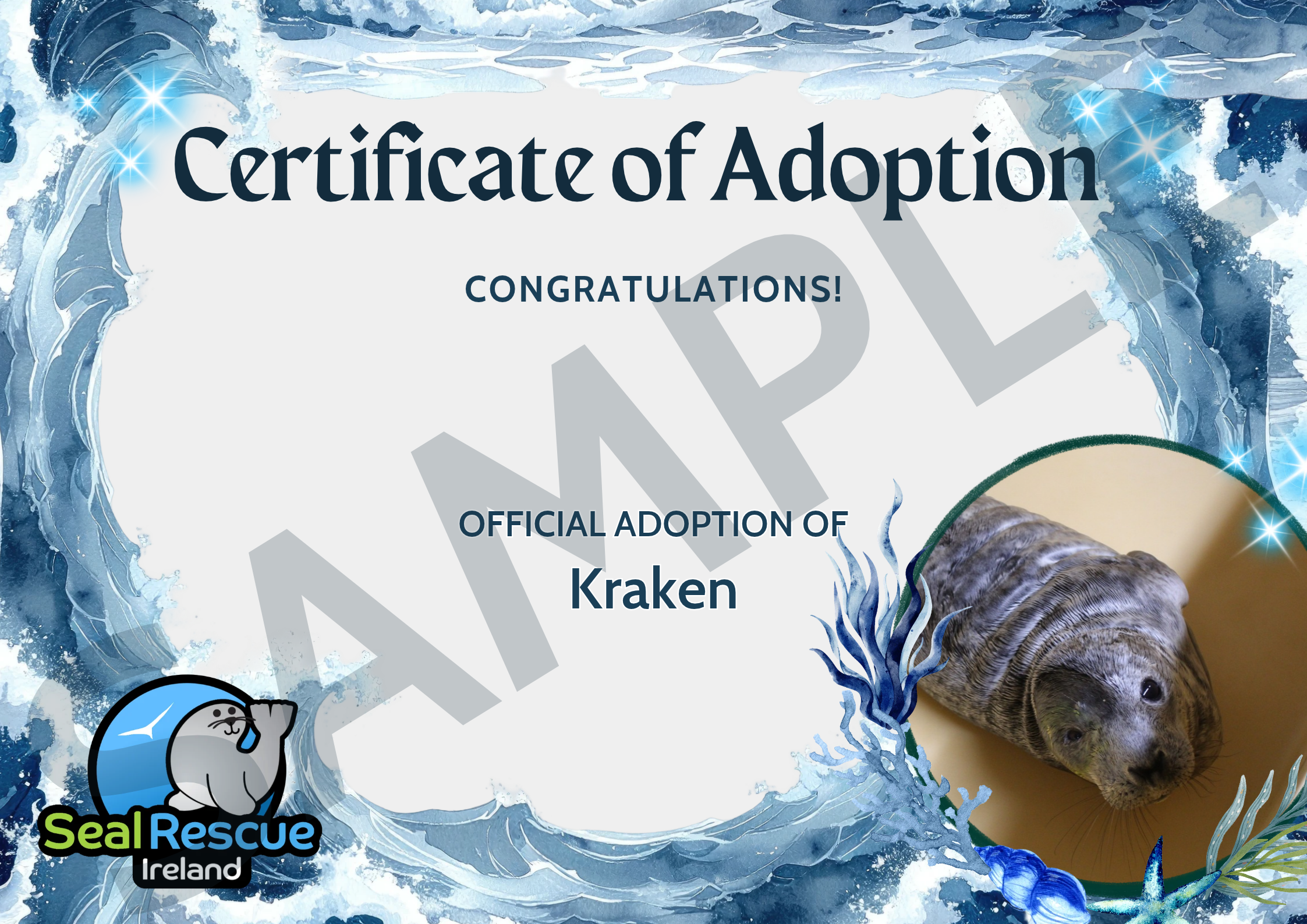 Season Q Adoption Certificates