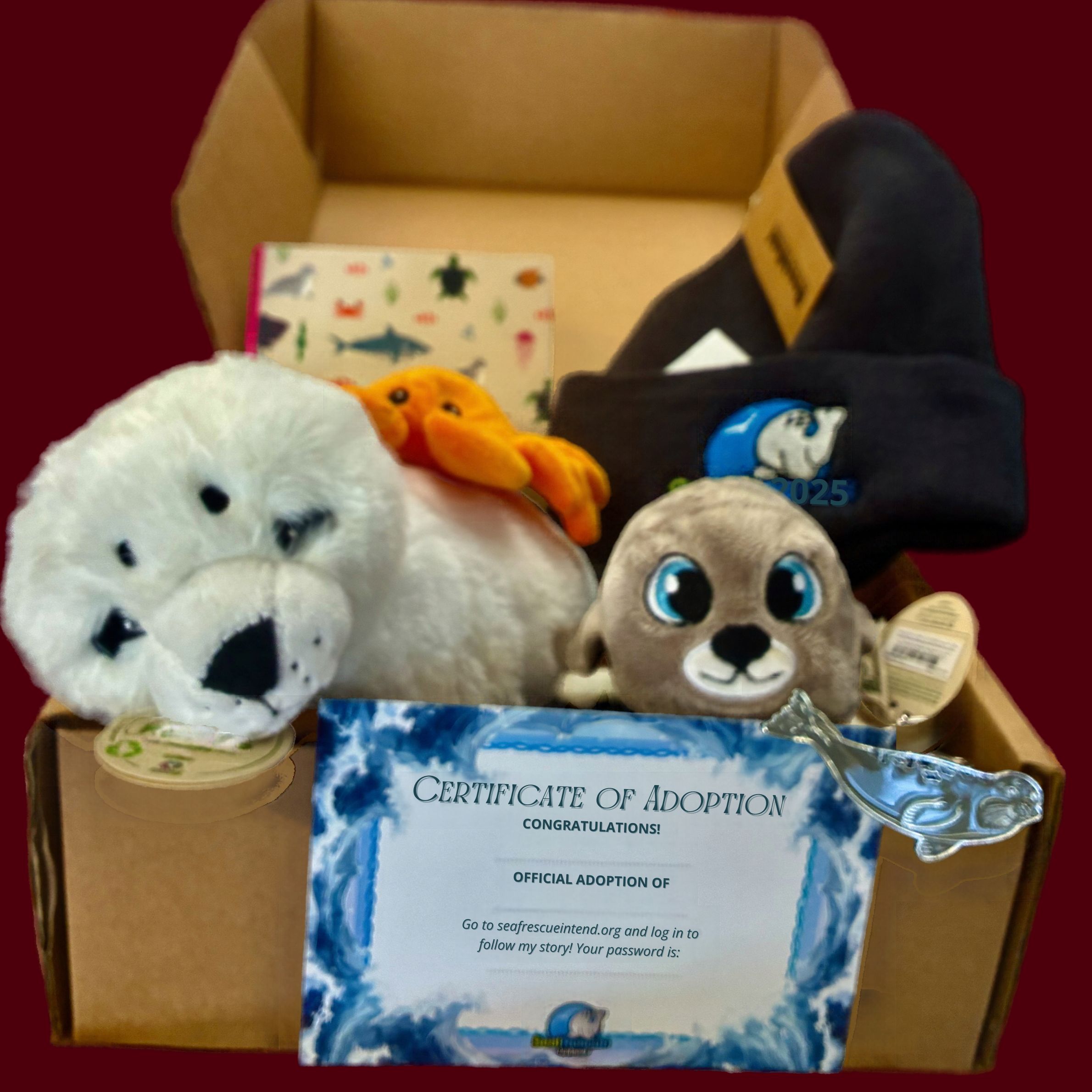 Seal Rescue - Seal Savers Gift Pack
